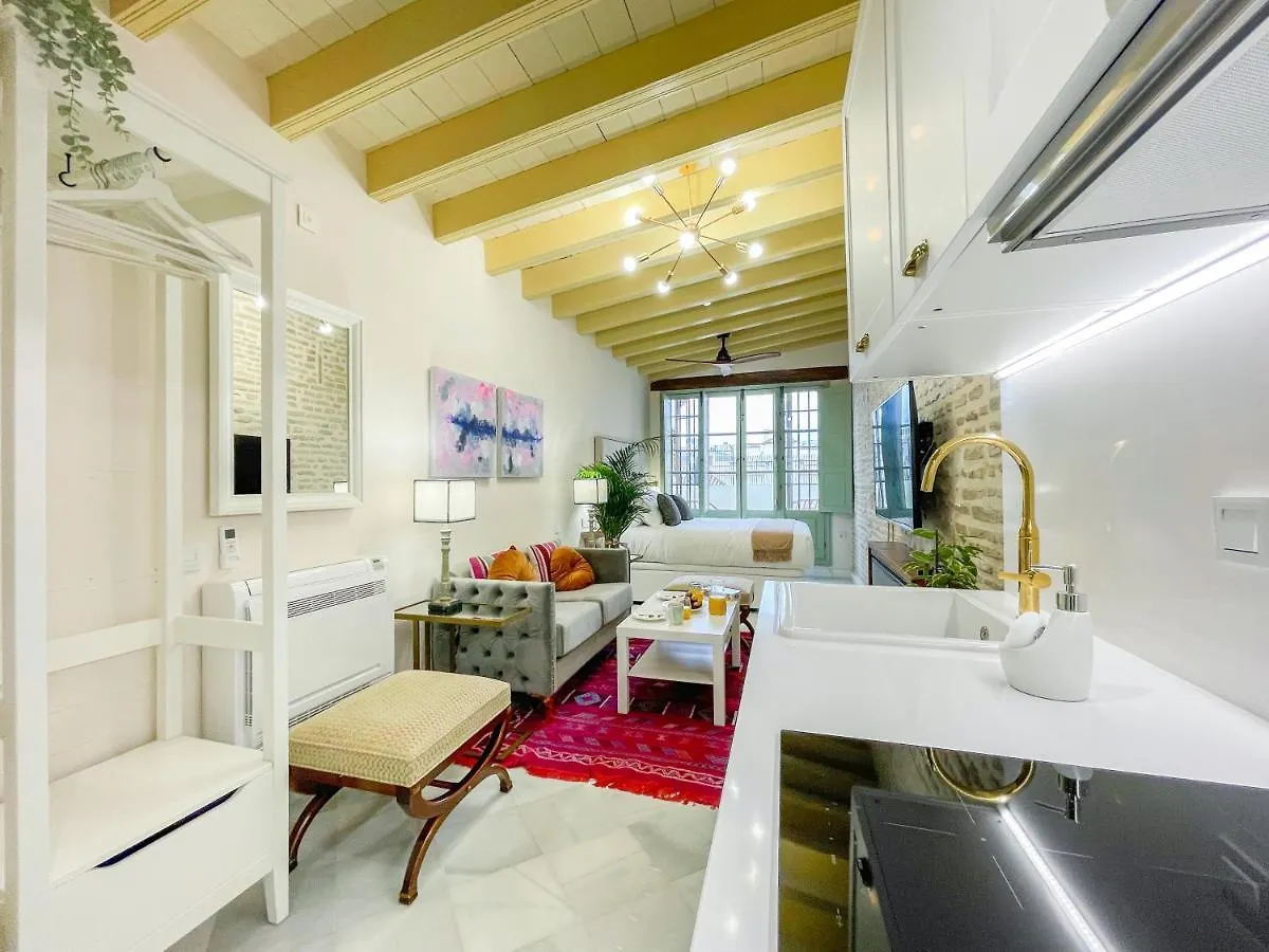 Juderia De Sevilla VI Luxury Apartments